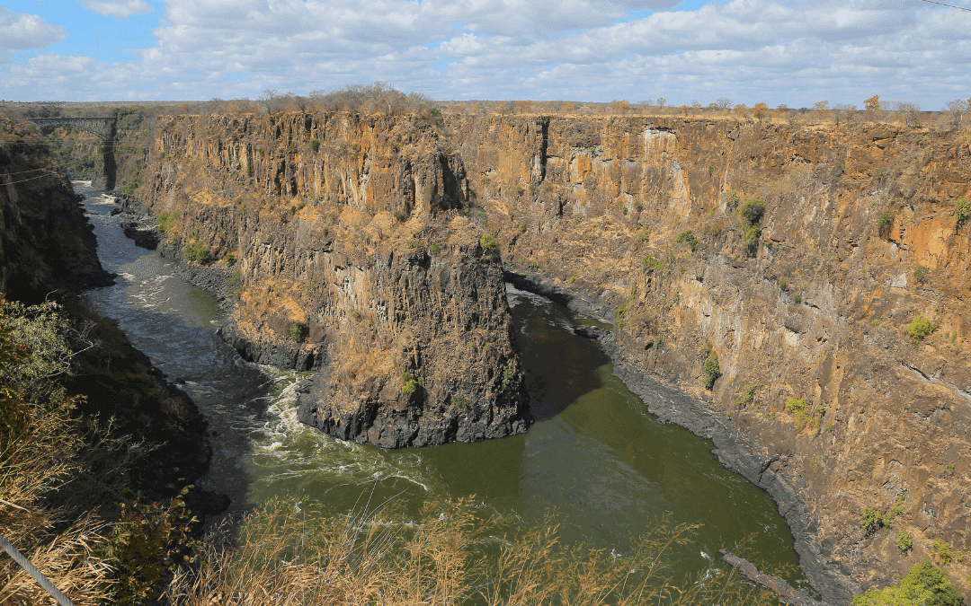 Hunting Blue Wildebeest in Zambia