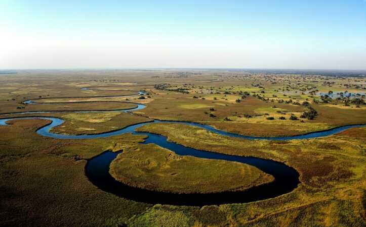 Hunting Impala in Botswana